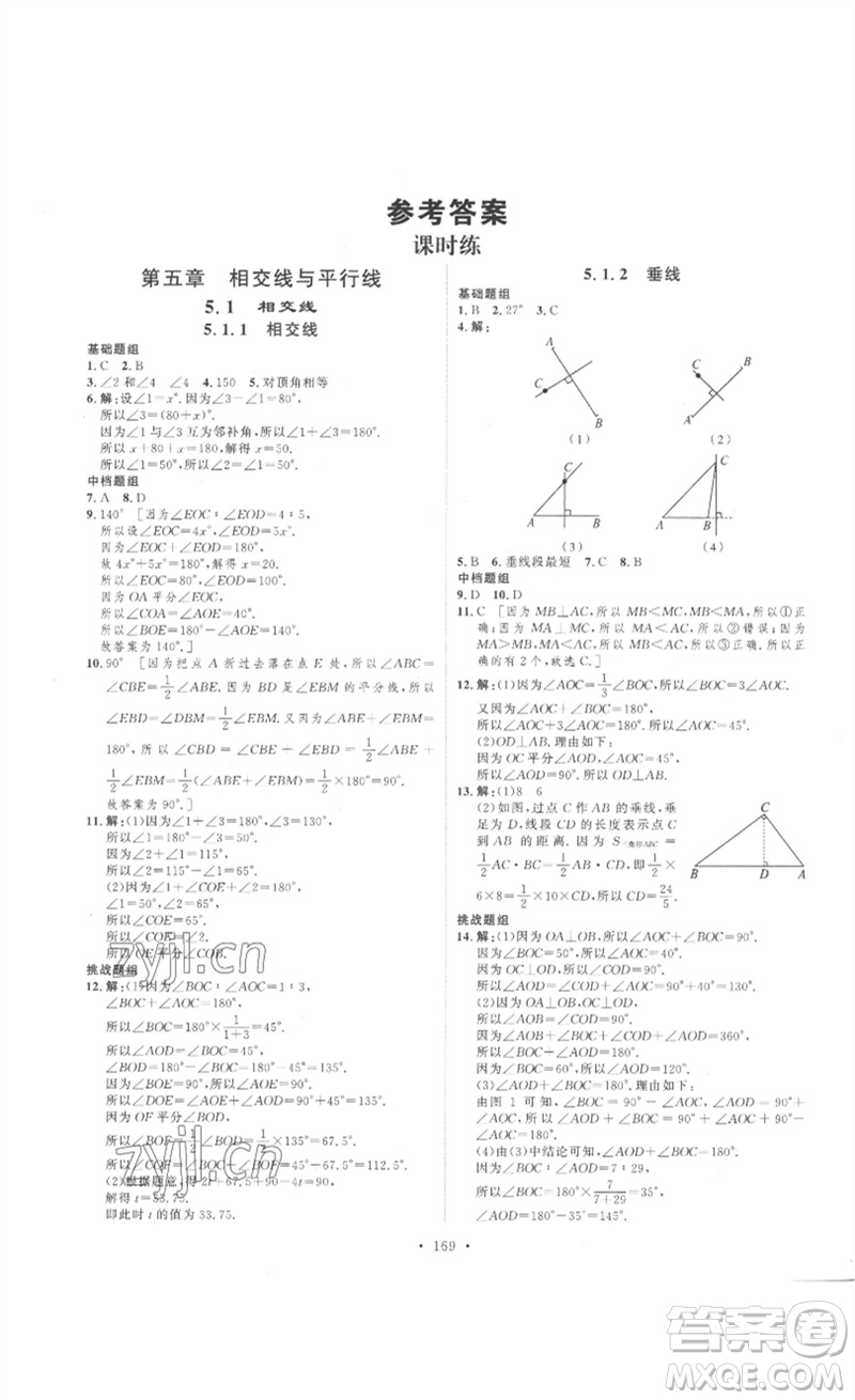 安徽人民出版社2023思路教練同步課時作業(yè)七年級數(shù)學(xué)下冊人教版參考答案