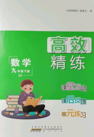 安徽人民出版社2023高效精練九年級數(shù)學(xué)下冊蘇科版參考答案