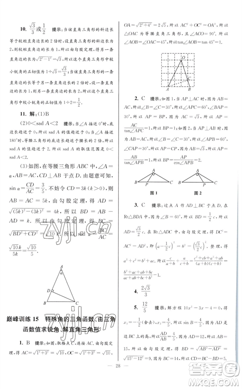 江蘇鳳凰科學(xué)技術(shù)出版社2023初中數(shù)學(xué)小題狂做九年級(jí)下冊(cè)蘇科版巔峰版參考答案