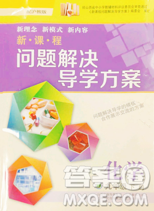 山西教育出版社2023新課程問題解決導學方案九年級下冊化學滬教版參考答案