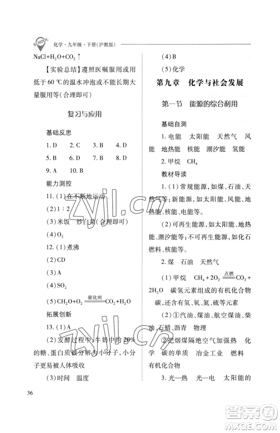 山西教育出版社2023新課程問題解決導學方案九年級下冊化學滬教版參考答案