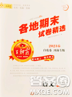 江西人民出版社2023王朝霞各地期末試卷精選六年級(jí)下冊(cè)語(yǔ)文人教版河南專(zhuān)版參考答案