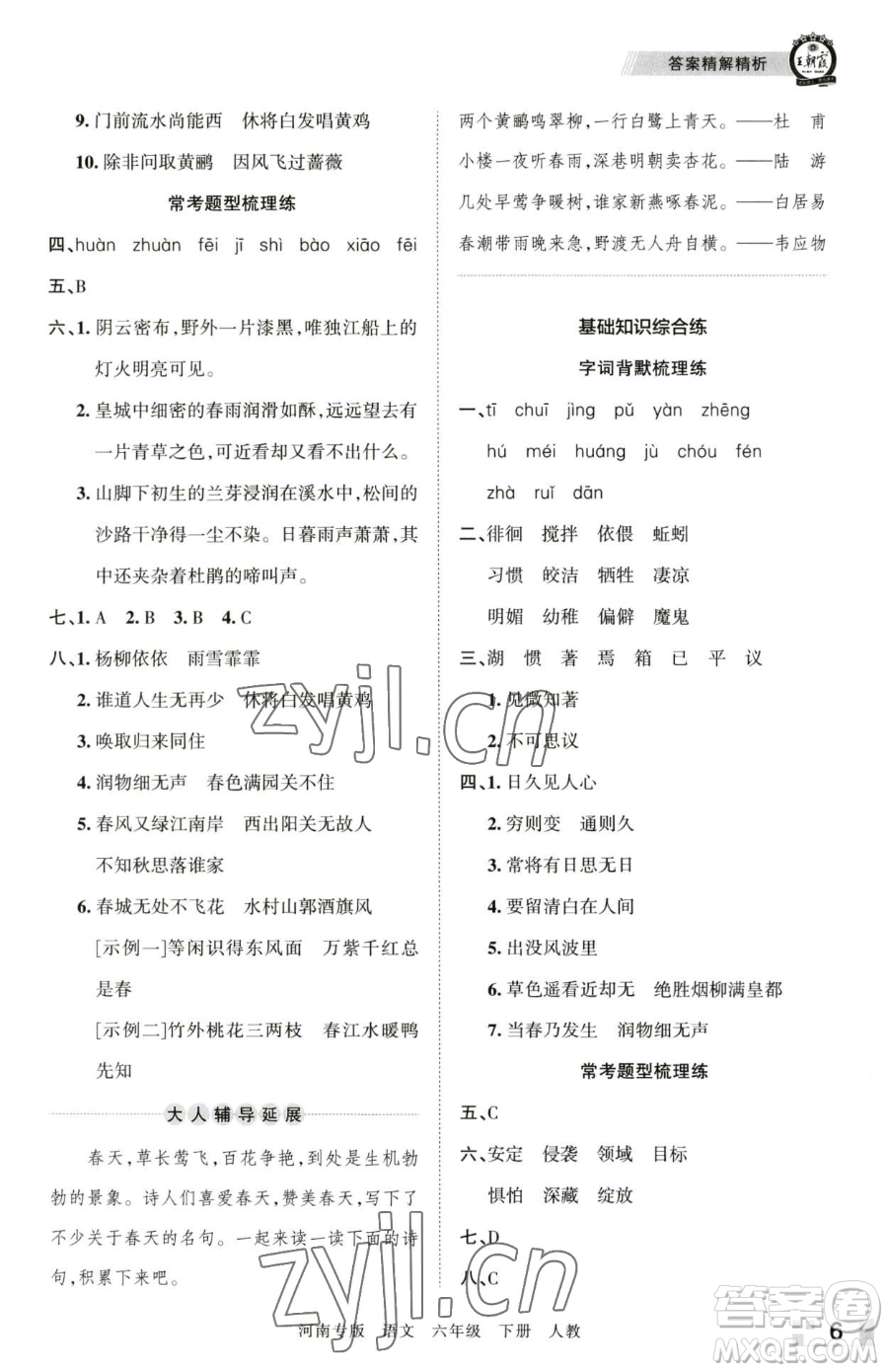 江西人民出版社2023王朝霞各地期末試卷精選六年級(jí)下冊(cè)語(yǔ)文人教版河南專(zhuān)版參考答案