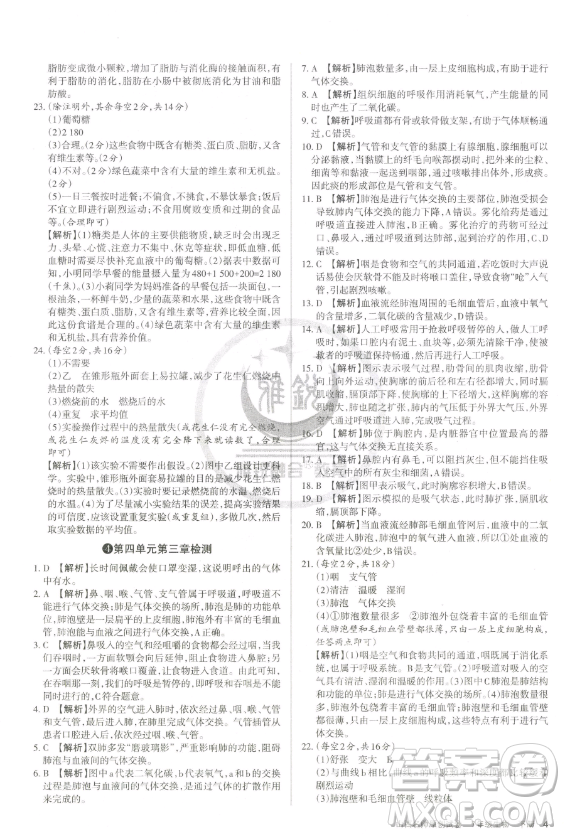 北京教育出版社2023山西名師原創(chuàng)試卷七年級下冊生物人教版參考答案