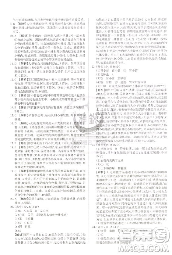 北京教育出版社2023山西名師原創(chuàng)試卷七年級下冊生物人教版參考答案