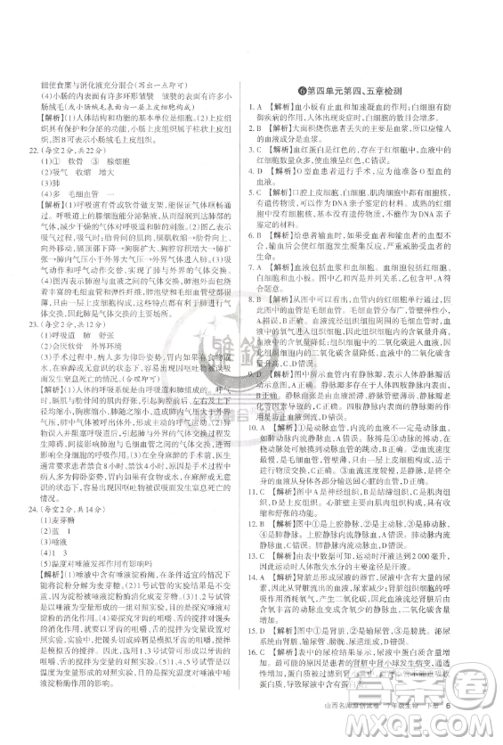 北京教育出版社2023山西名師原創(chuàng)試卷七年級下冊生物人教版參考答案