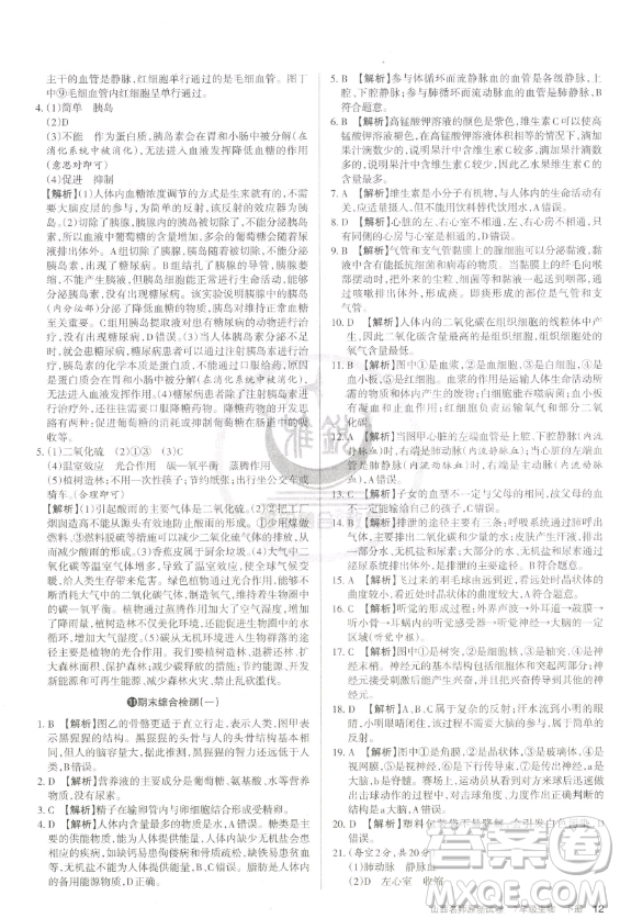 北京教育出版社2023山西名師原創(chuàng)試卷七年級下冊生物人教版參考答案