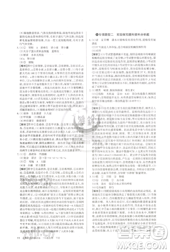 北京教育出版社2023山西名師原創(chuàng)試卷七年級下冊生物人教版參考答案