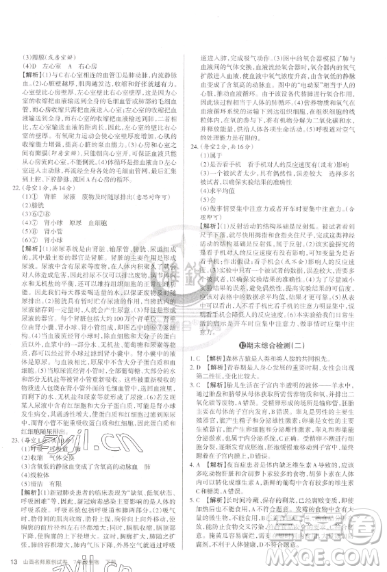 北京教育出版社2023山西名師原創(chuàng)試卷七年級下冊生物人教版參考答案