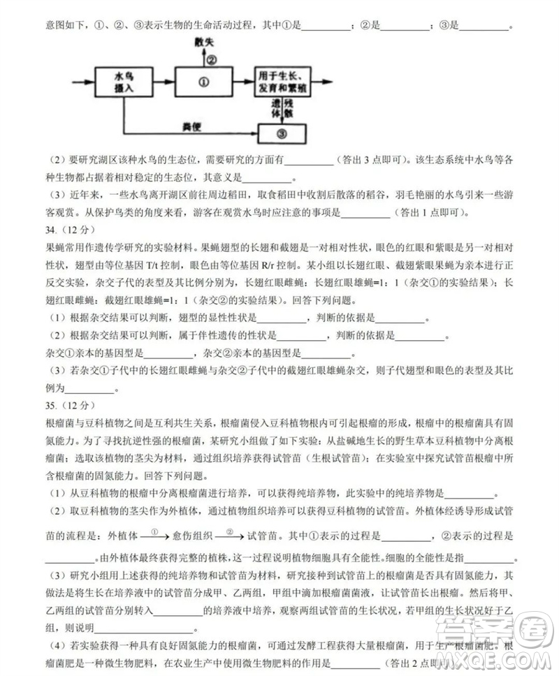 2023年高考新課標(biāo)全國II卷生物試題答案