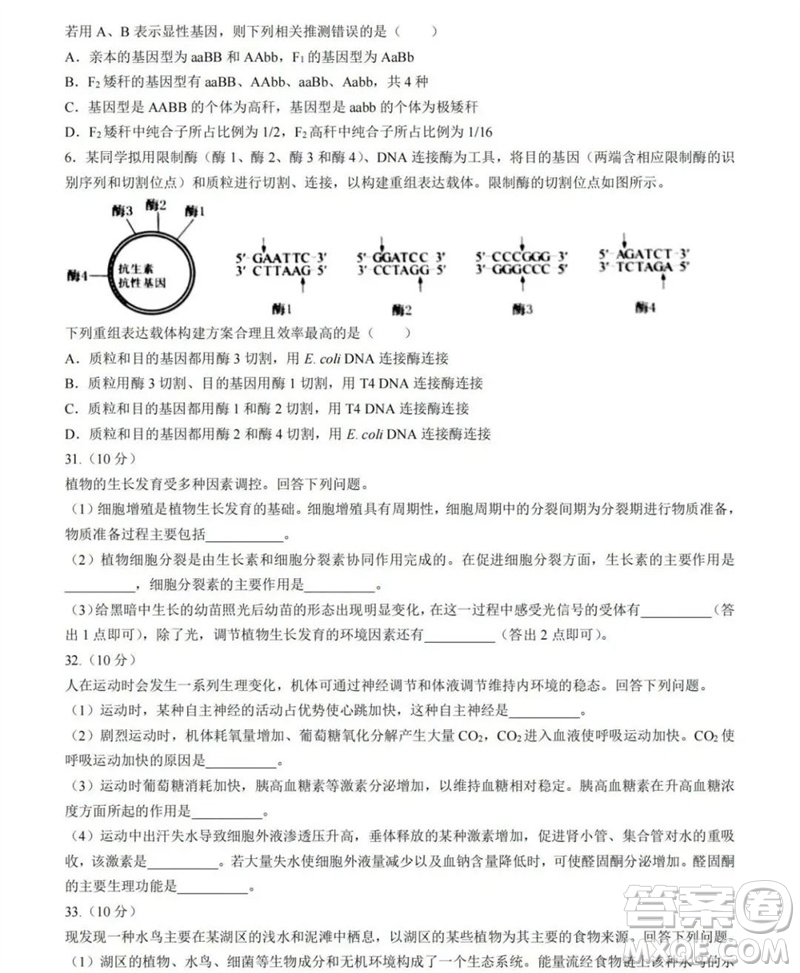 2023年高考新課標(biāo)全國II卷生物試題答案