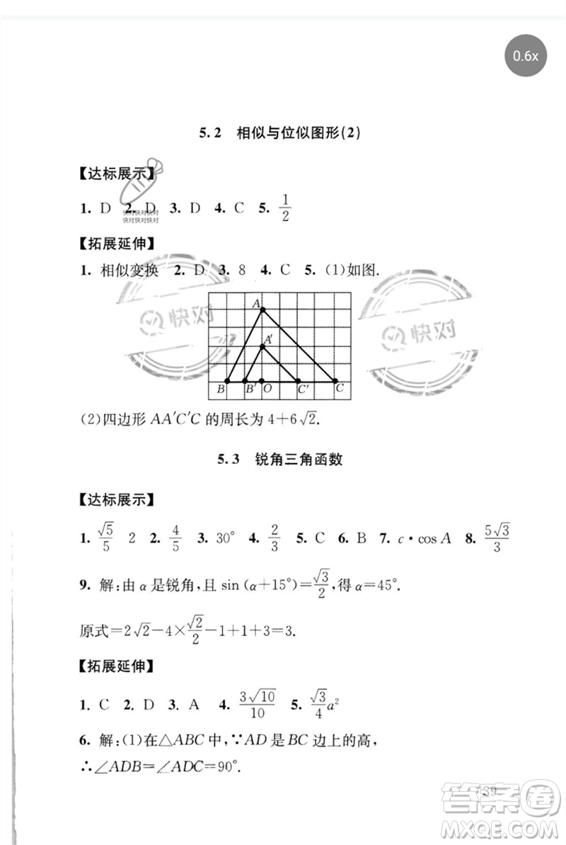 團結(jié)出版社2023劍指中考九年級數(shù)學(xué)通用版懷化專版參考答案