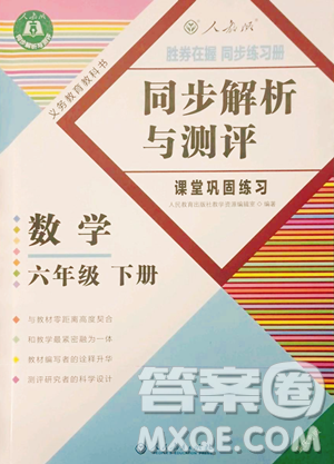 人民教育出版社2023勝券在握同步解析與測評六年級下冊數(shù)學人教版重慶專版參考答案