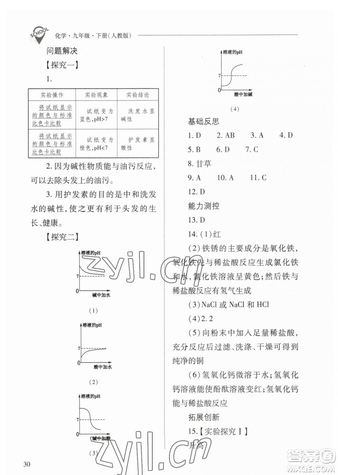 山西教育出版社2023新課程問題解決導學方案九年級下冊化學人教版參考答案