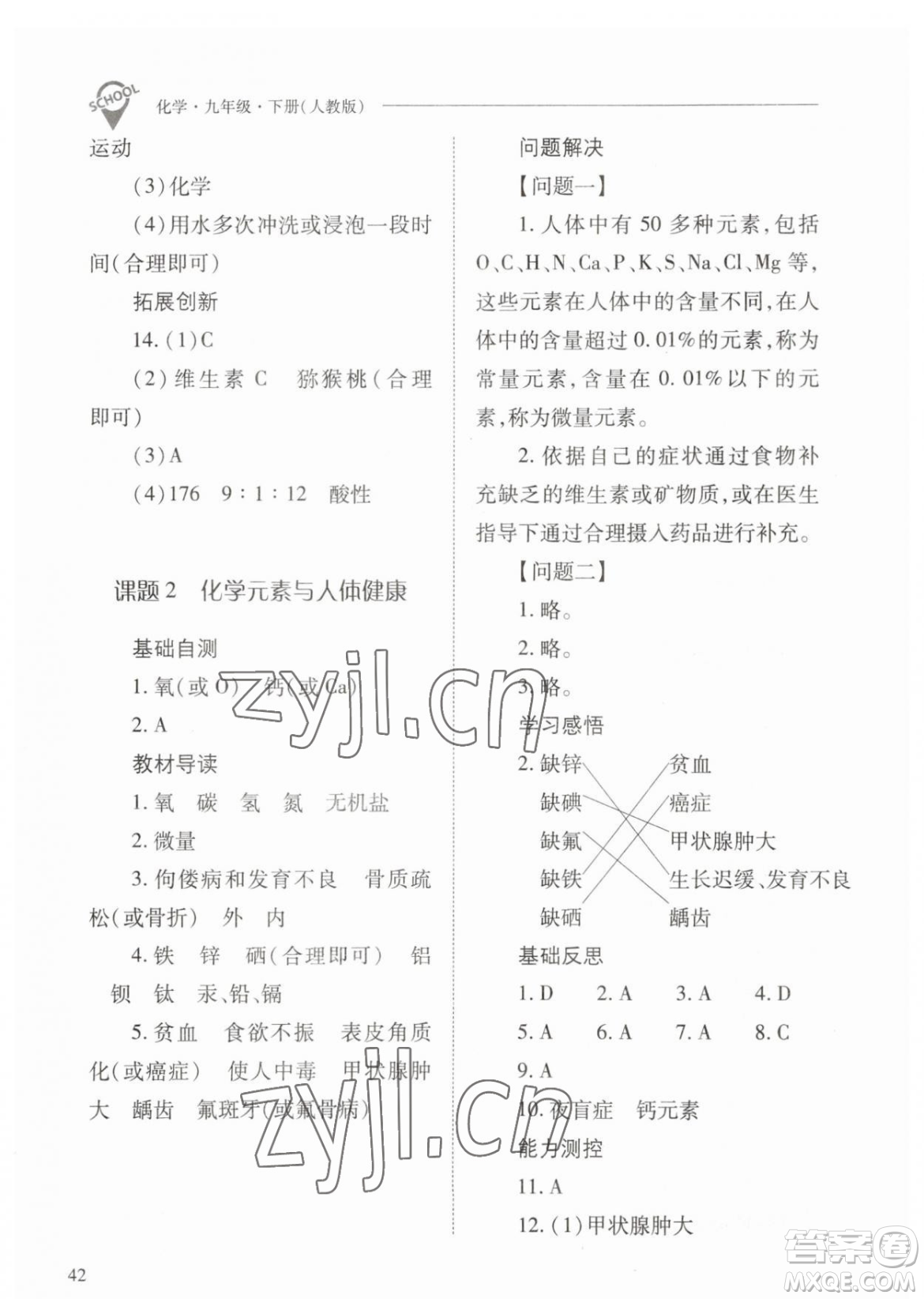 山西教育出版社2023新課程問題解決導學方案九年級下冊化學人教版參考答案