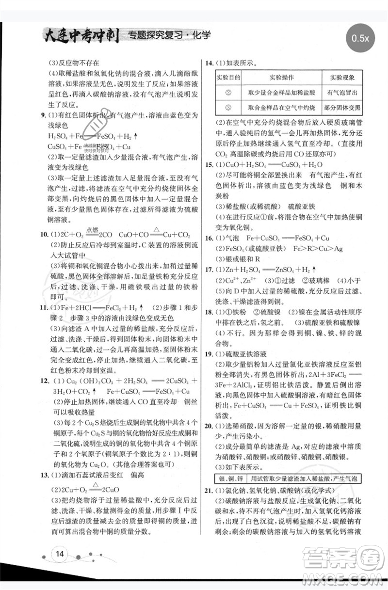 現(xiàn)代教育出版社2023大連中考沖刺專題復(fù)習(xí)九年級化學(xué)通用版參考答案