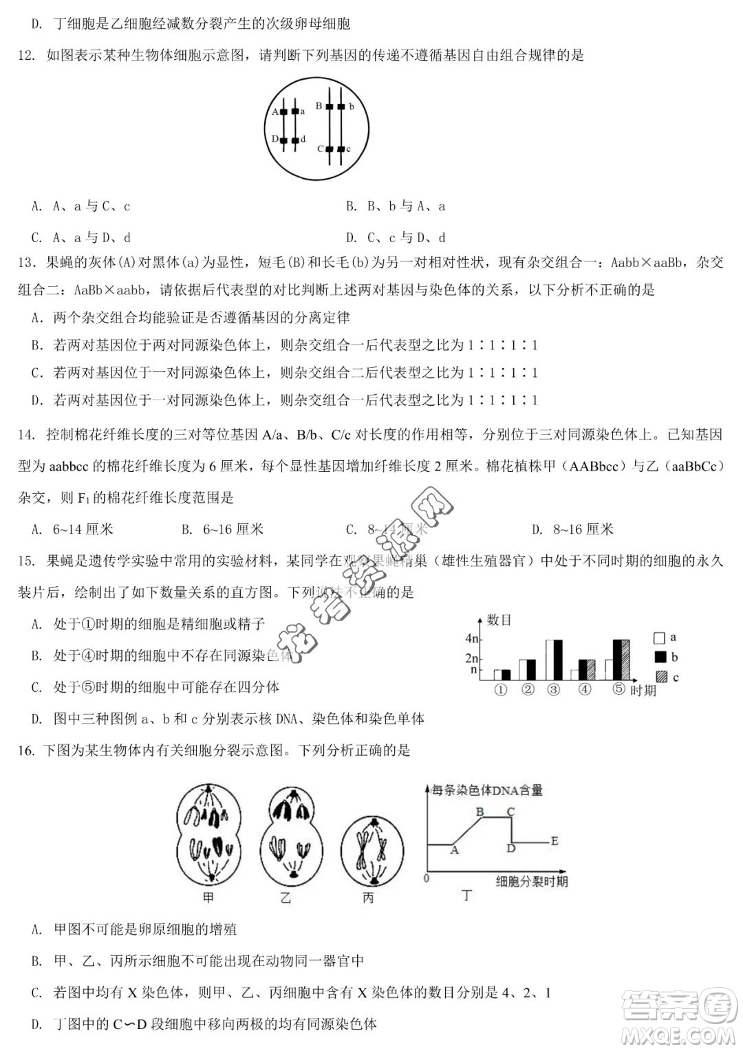 哈六中2022-2023學(xué)年高一下學(xué)期期中考試生物試卷答案