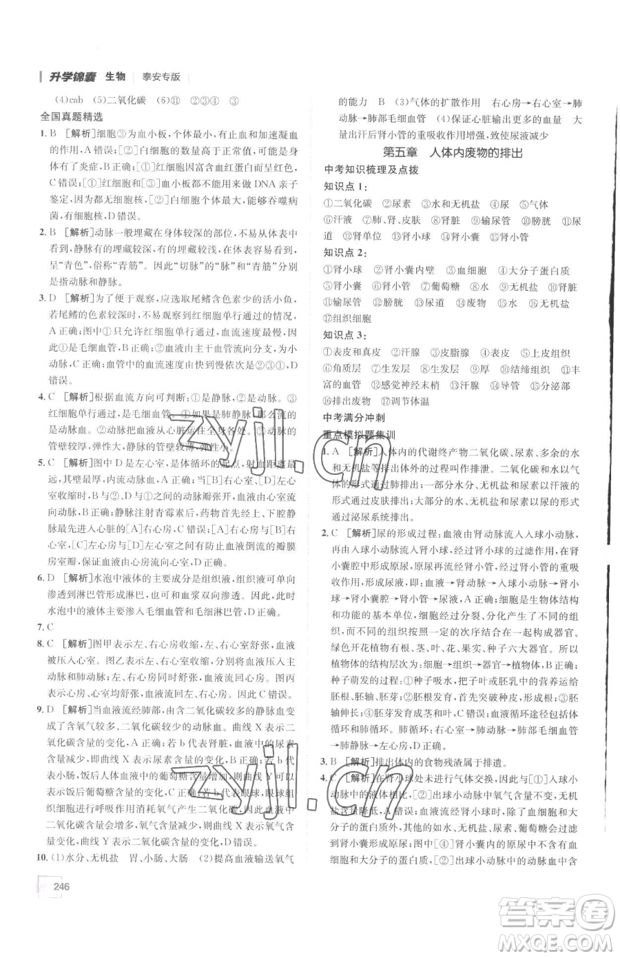 新疆青少年出版社2023升學(xué)錦囊九年級全一冊生物泰安專版參考答案