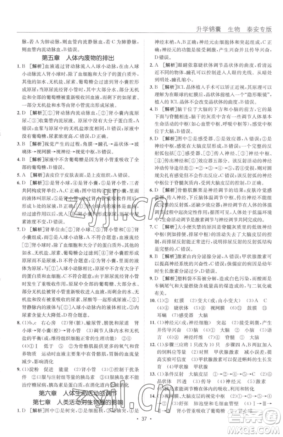 新疆青少年出版社2023升學(xué)錦囊九年級全一冊生物泰安專版參考答案