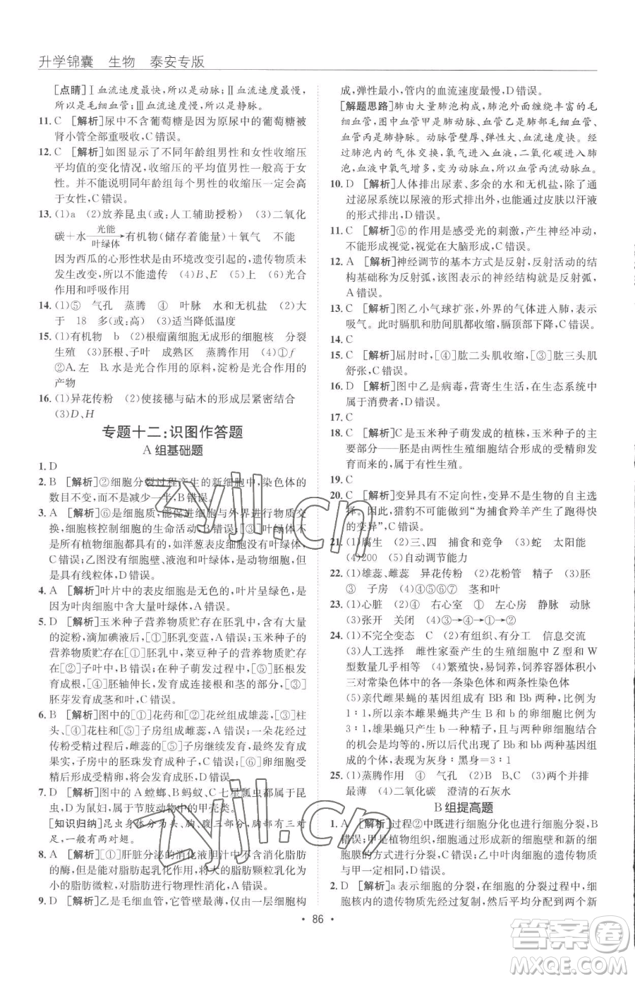 新疆青少年出版社2023升學(xué)錦囊九年級全一冊生物泰安專版參考答案