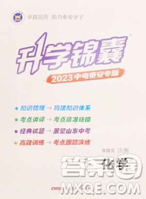 新疆青少年出版社2023升學(xué)錦囊九年級全一冊化學(xué)泰安專版參考答案