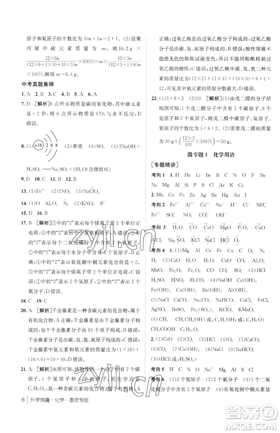 新疆青少年出版社2023升學(xué)錦囊九年級全一冊化學(xué)泰安專版參考答案