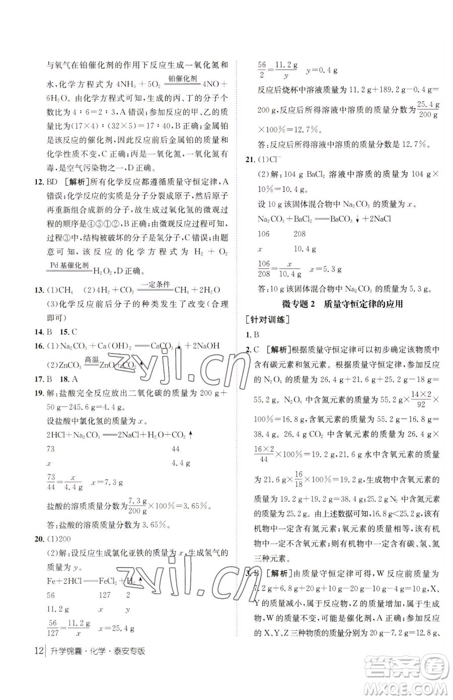 新疆青少年出版社2023升學(xué)錦囊九年級全一冊化學(xué)泰安專版參考答案