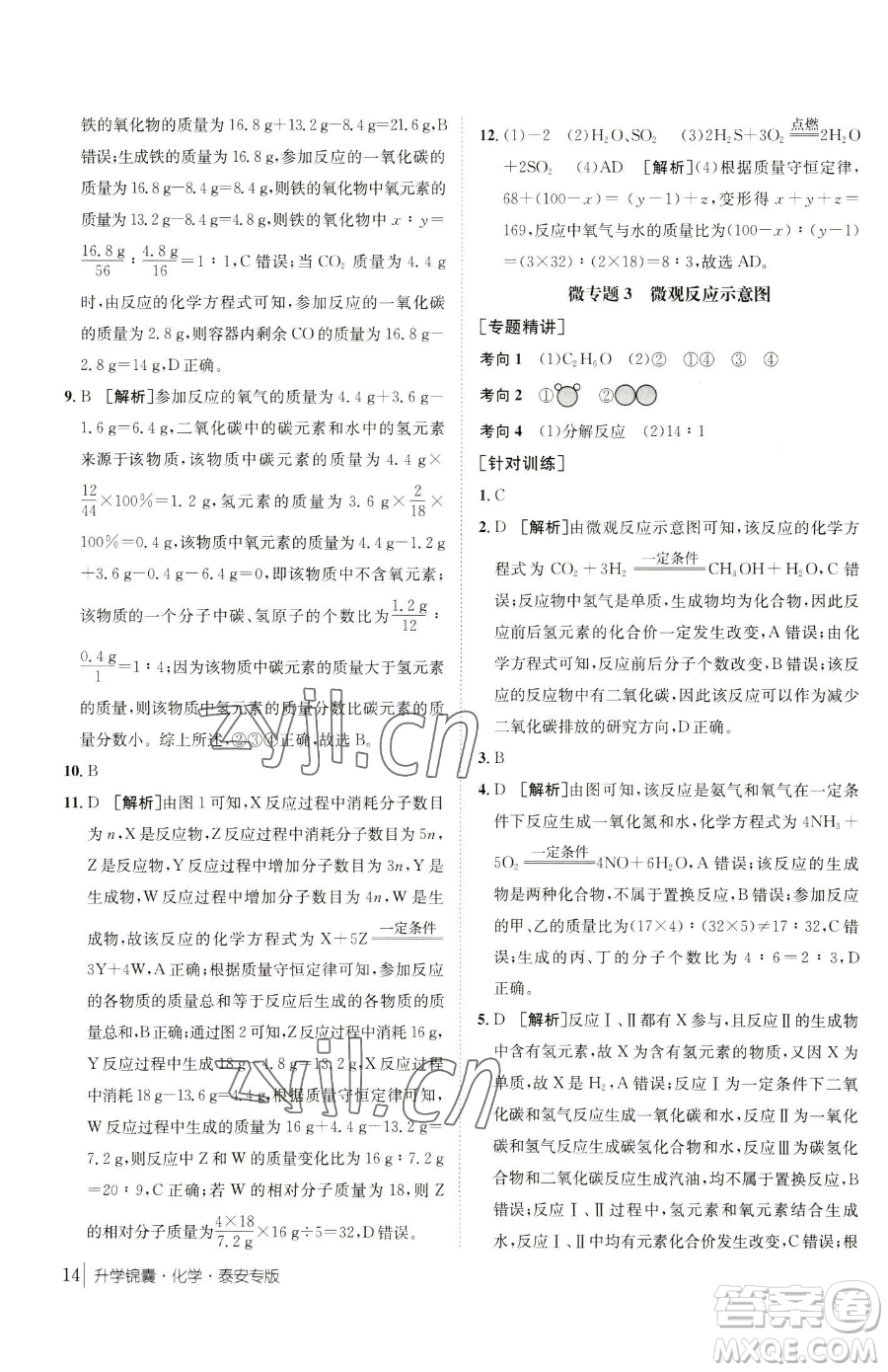 新疆青少年出版社2023升學(xué)錦囊九年級全一冊化學(xué)泰安專版參考答案