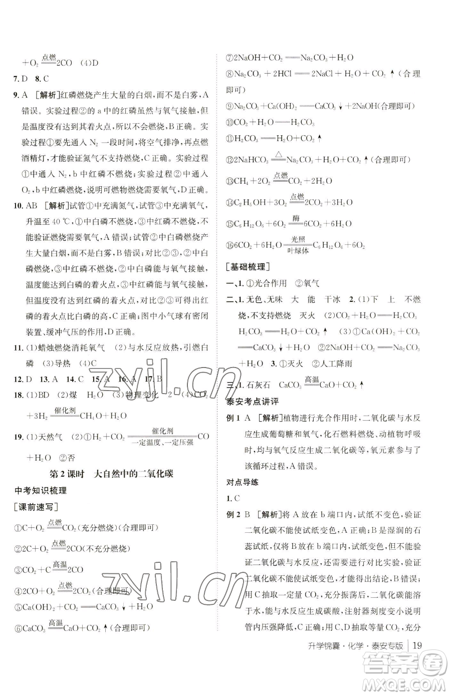 新疆青少年出版社2023升學(xué)錦囊九年級全一冊化學(xué)泰安專版參考答案