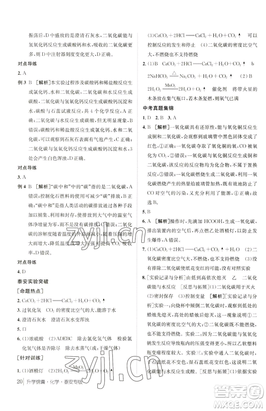 新疆青少年出版社2023升學(xué)錦囊九年級全一冊化學(xué)泰安專版參考答案