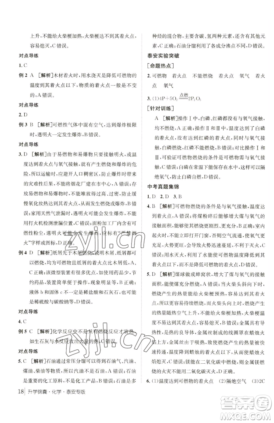 新疆青少年出版社2023升學(xué)錦囊九年級全一冊化學(xué)泰安專版參考答案