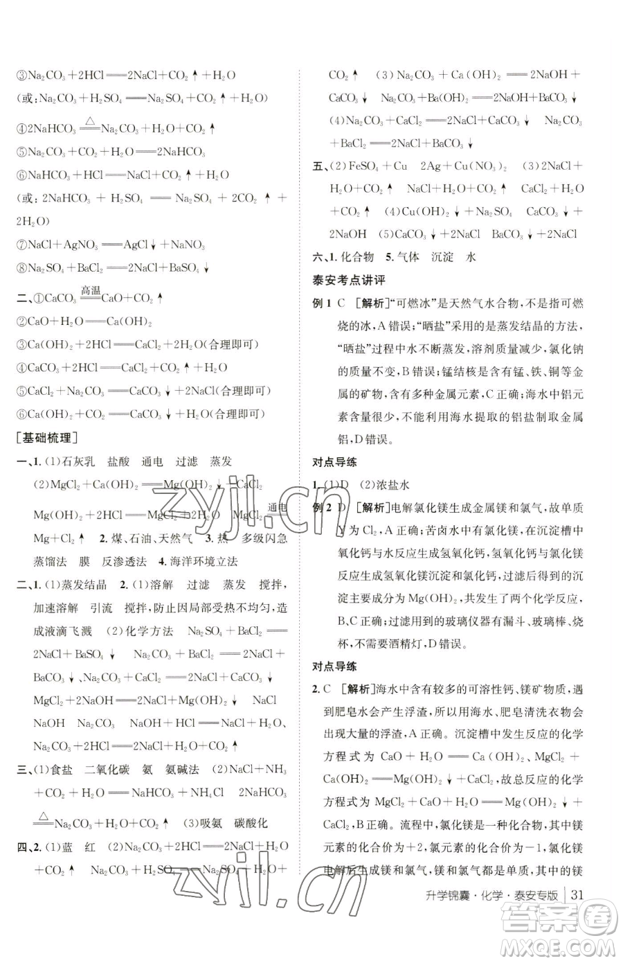 新疆青少年出版社2023升學(xué)錦囊九年級全一冊化學(xué)泰安專版參考答案