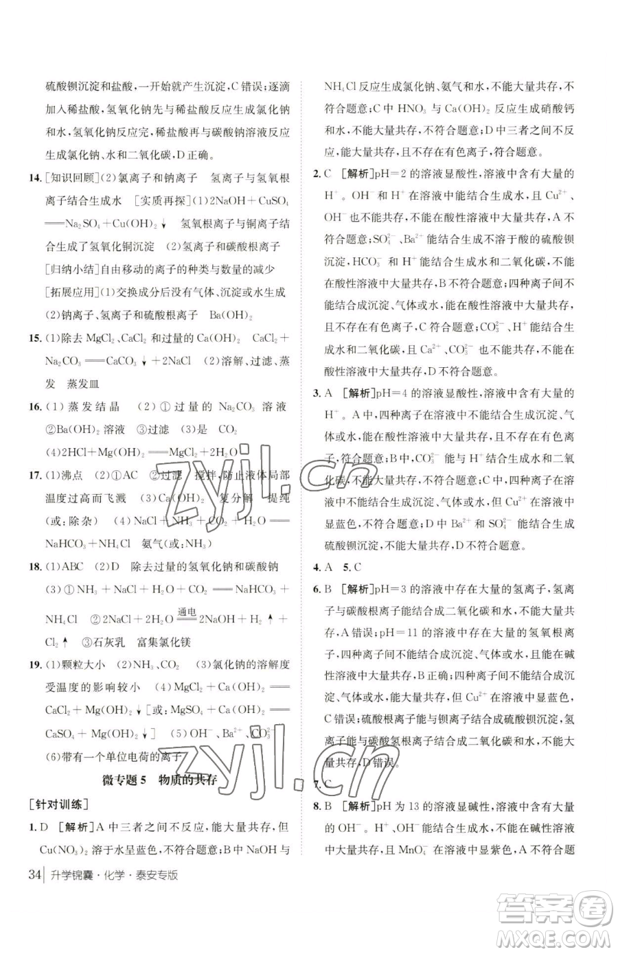 新疆青少年出版社2023升學(xué)錦囊九年級全一冊化學(xué)泰安專版參考答案