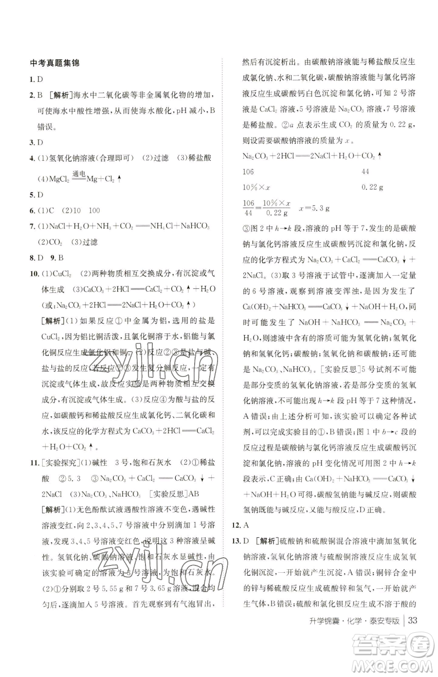 新疆青少年出版社2023升學(xué)錦囊九年級全一冊化學(xué)泰安專版參考答案