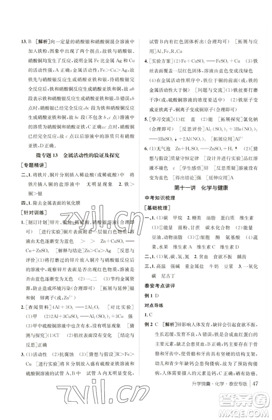 新疆青少年出版社2023升學(xué)錦囊九年級全一冊化學(xué)泰安專版參考答案