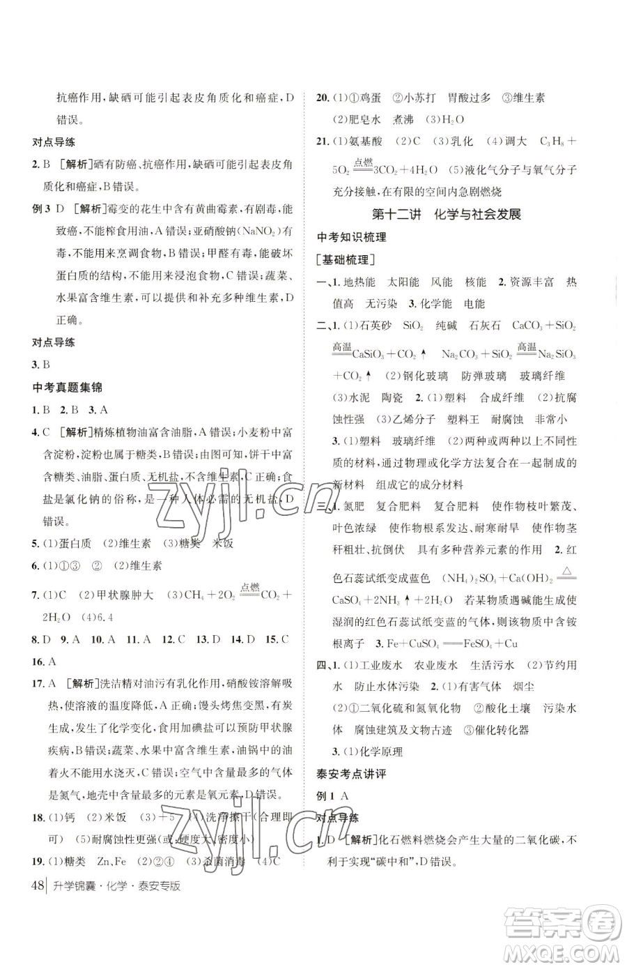 新疆青少年出版社2023升學(xué)錦囊九年級全一冊化學(xué)泰安專版參考答案