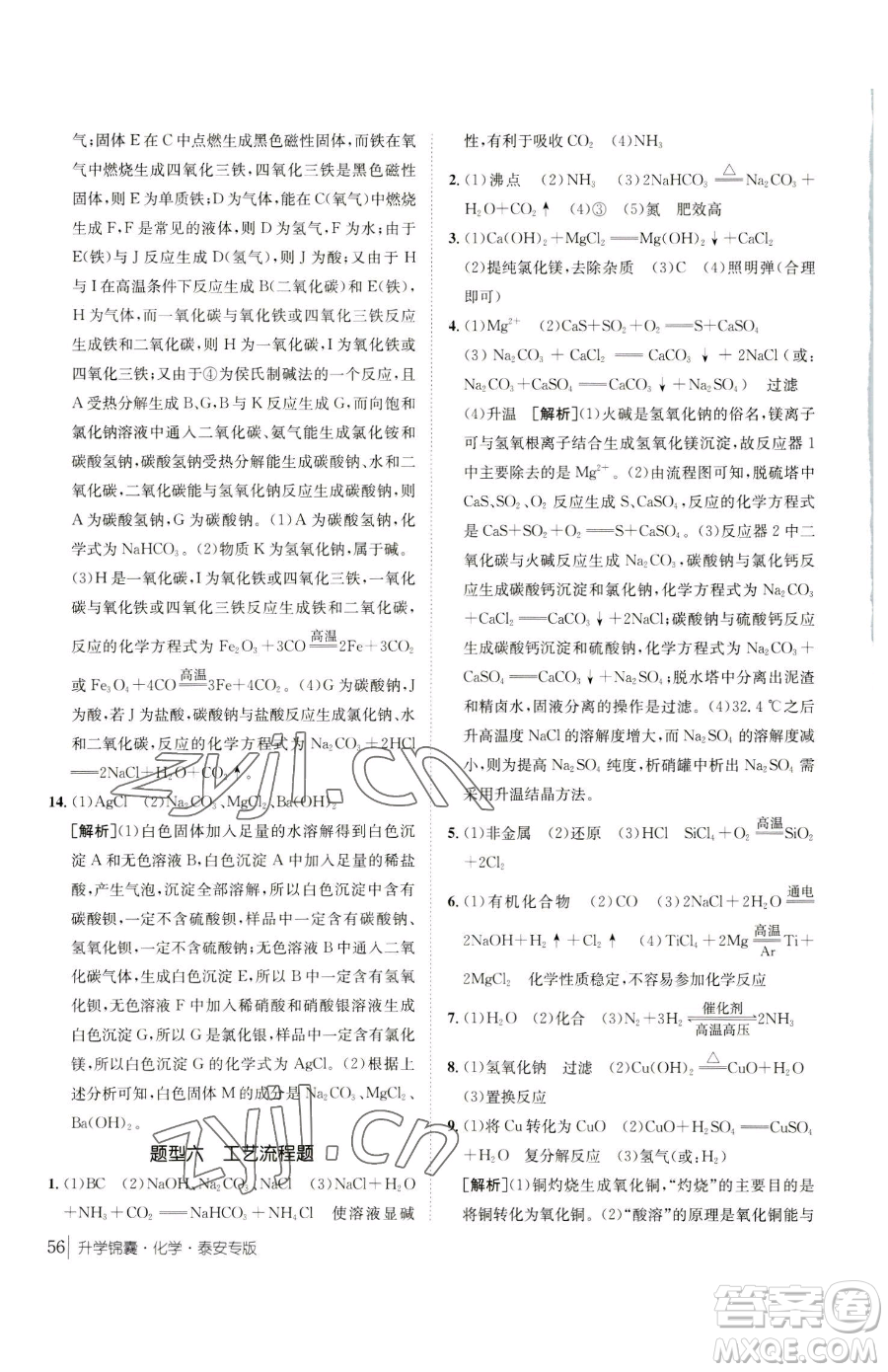 新疆青少年出版社2023升學(xué)錦囊九年級全一冊化學(xué)泰安專版參考答案