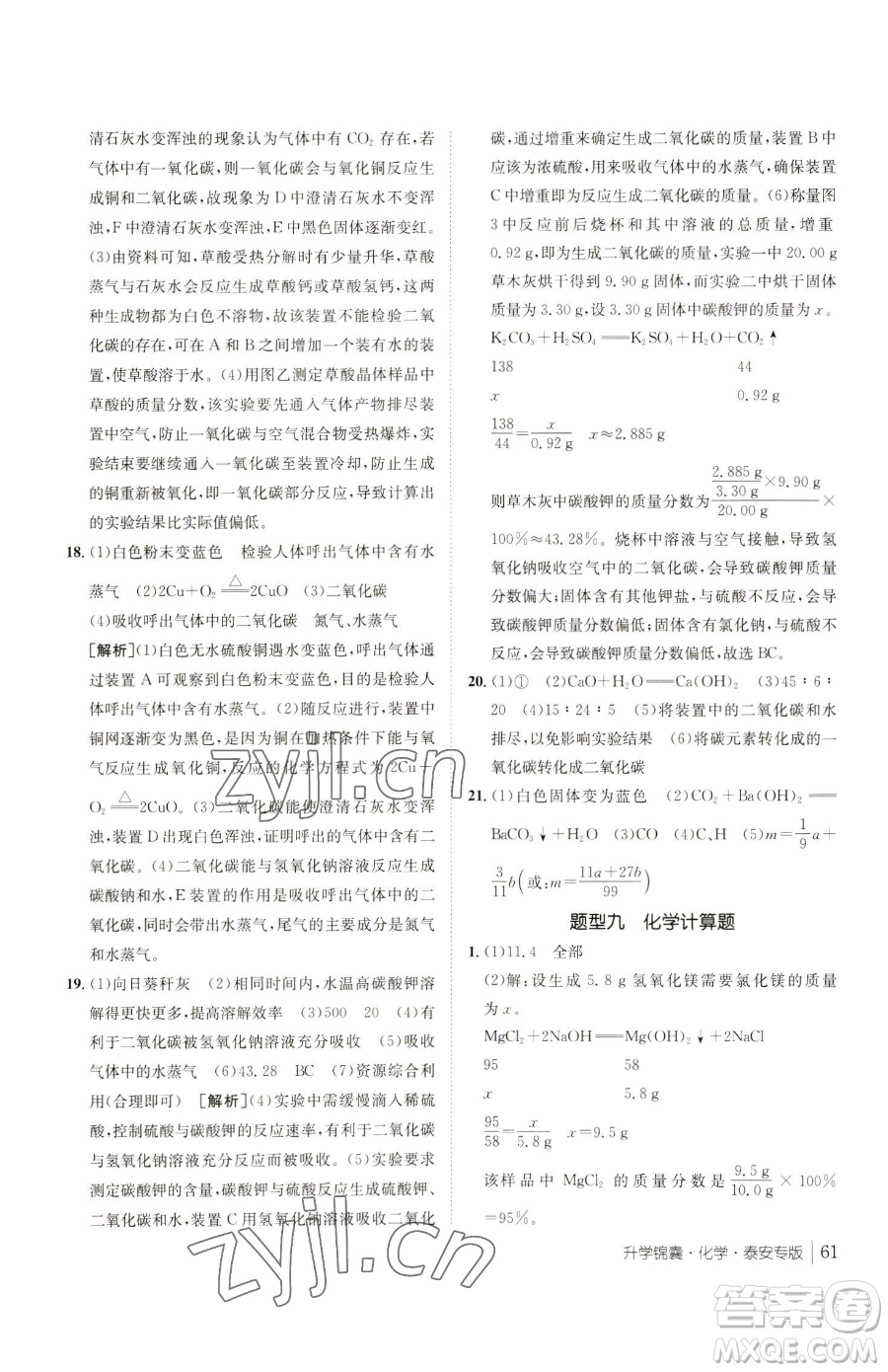 新疆青少年出版社2023升學(xué)錦囊九年級全一冊化學(xué)泰安專版參考答案