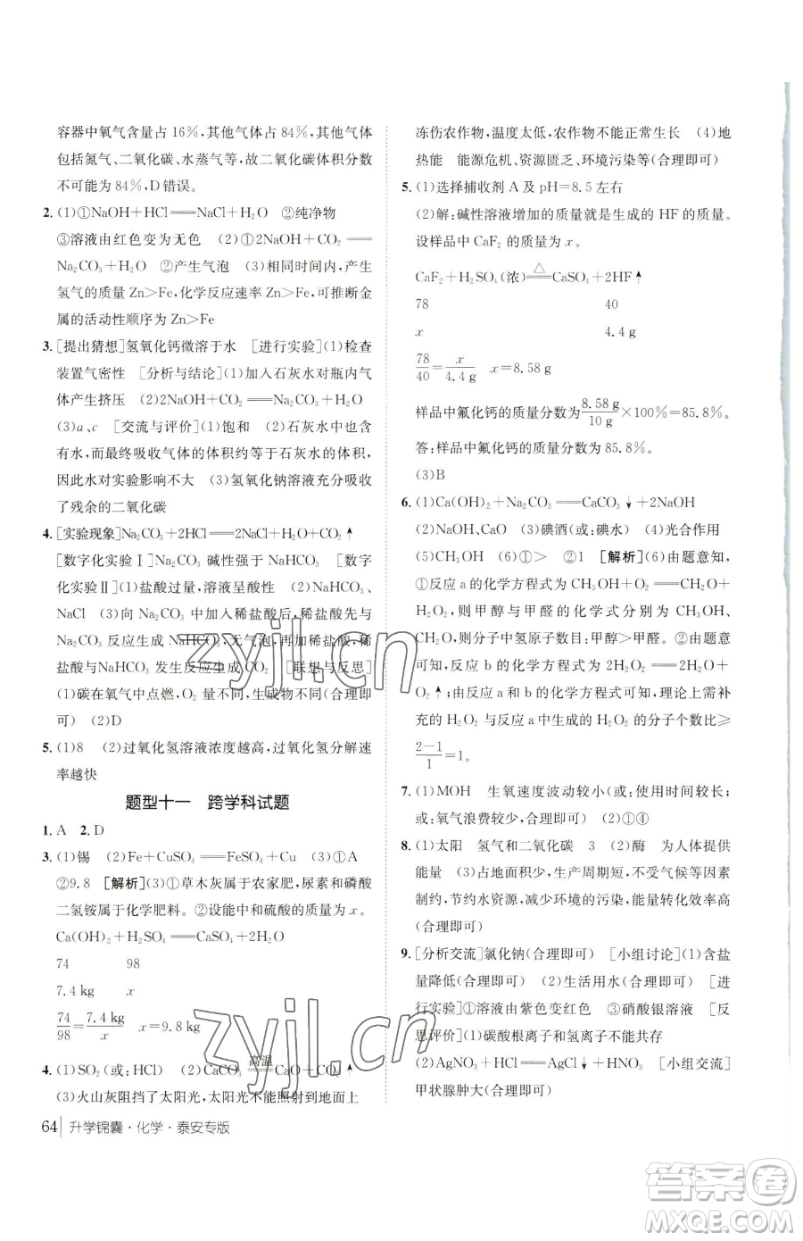 新疆青少年出版社2023升學(xué)錦囊九年級全一冊化學(xué)泰安專版參考答案