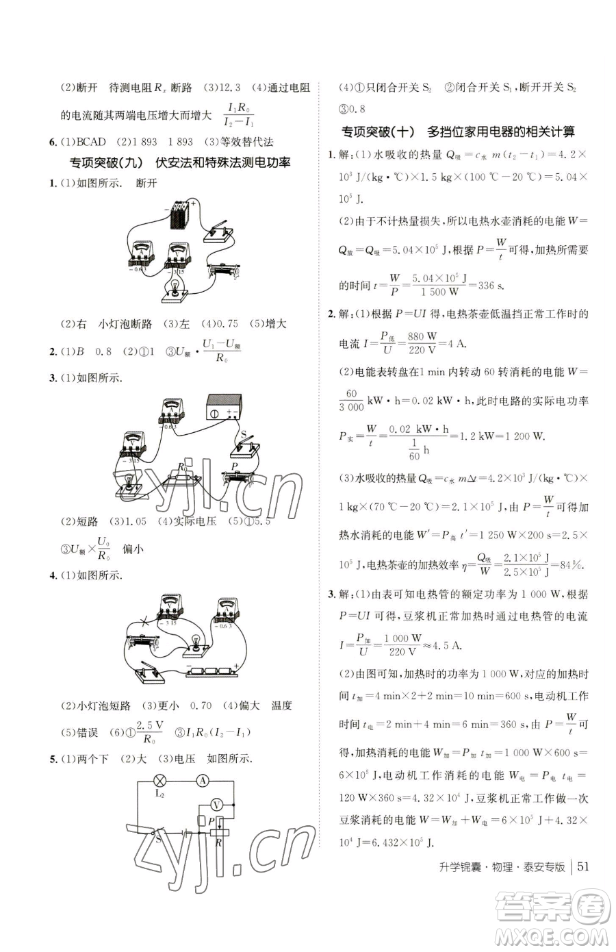 新疆青少年出版社2023升學(xué)錦囊九年級(jí)全一冊(cè)物理泰安專版參考答案