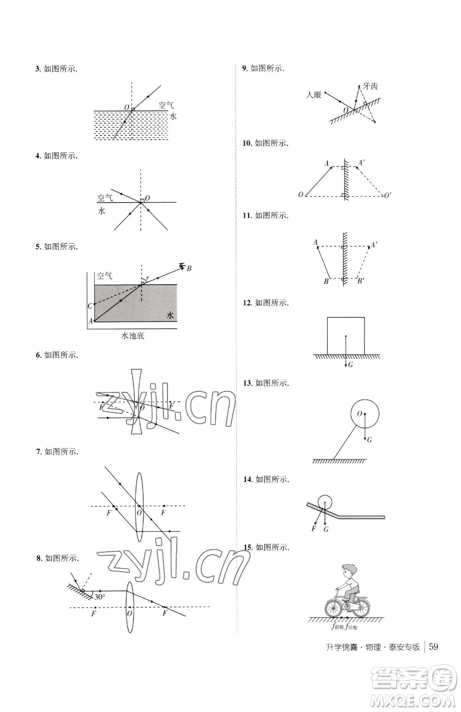 新疆青少年出版社2023升學(xué)錦囊九年級(jí)全一冊(cè)物理泰安專版參考答案