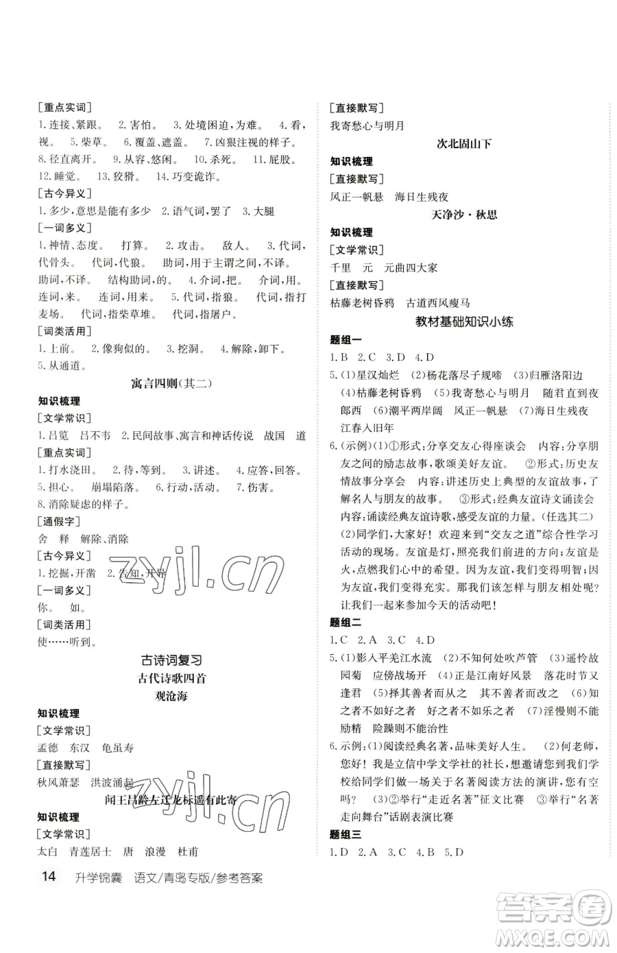 新疆青少年出版社2023升學(xué)錦囊九年級(jí)全一冊(cè)語(yǔ)文青島專版參考答案