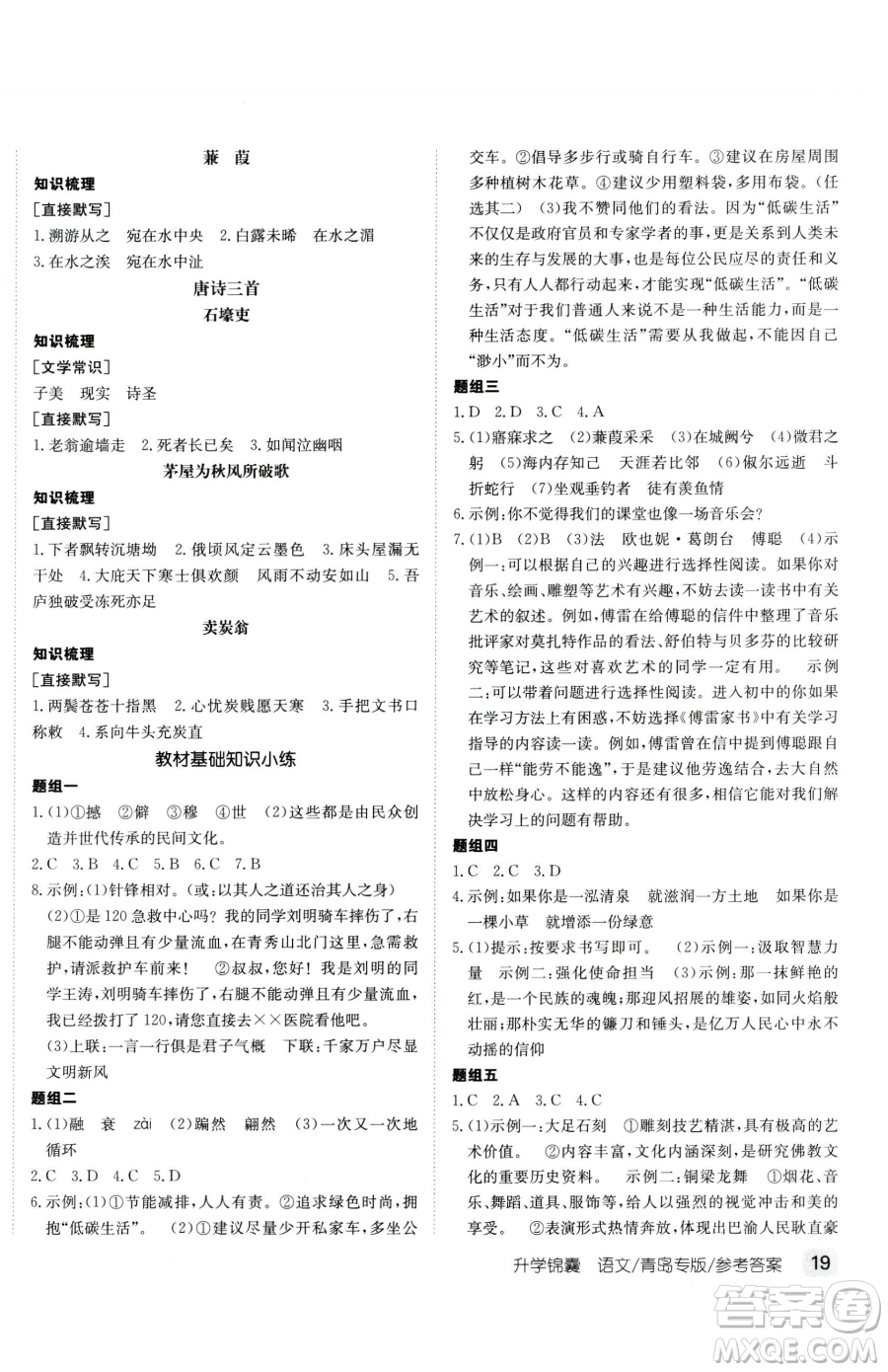 新疆青少年出版社2023升學(xué)錦囊九年級(jí)全一冊(cè)語(yǔ)文青島專版參考答案