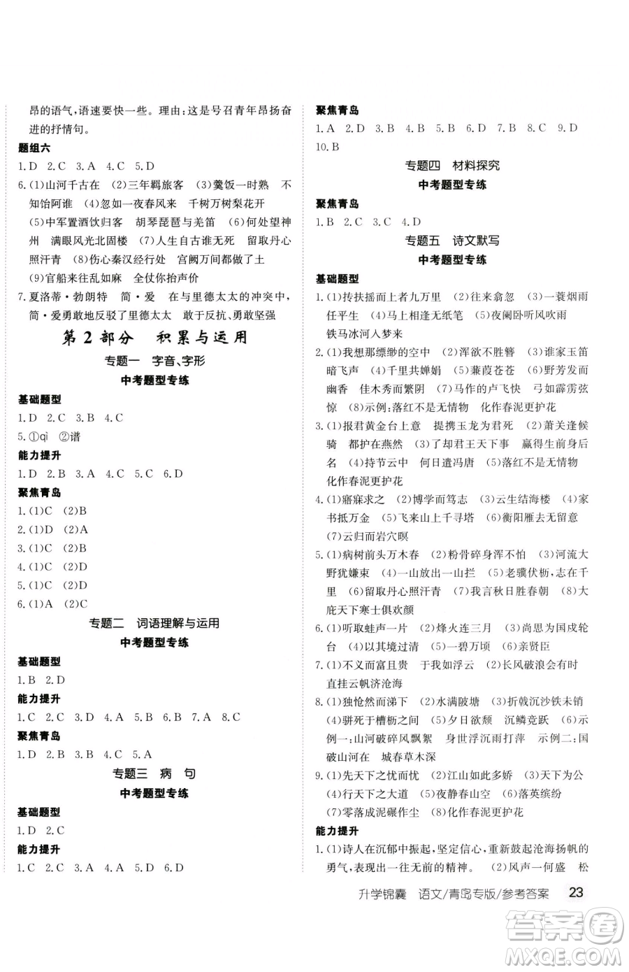 新疆青少年出版社2023升學(xué)錦囊九年級(jí)全一冊(cè)語(yǔ)文青島專版參考答案