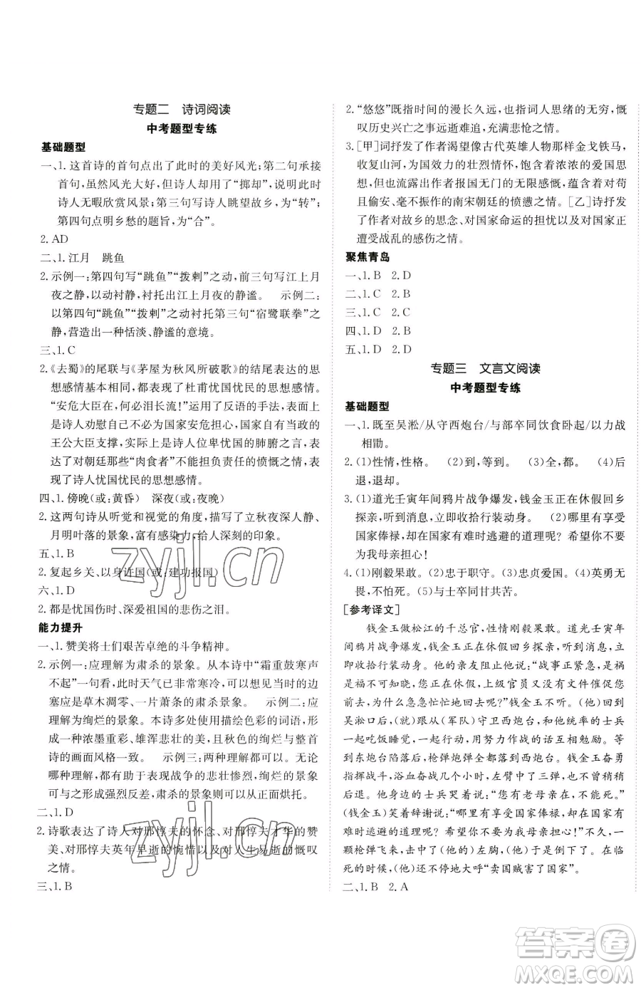 新疆青少年出版社2023升學(xué)錦囊九年級(jí)全一冊(cè)語(yǔ)文青島專版參考答案