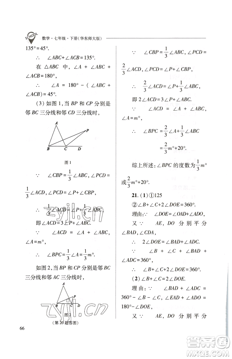 山西教育出版社2023新課程問題解決導(dǎo)學(xué)方案七年級下冊數(shù)學(xué)華東師大版參考答案