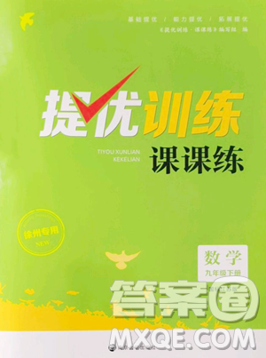 南京大學出版社2023提優(yōu)訓練課課練九年級下冊數(shù)學江蘇版徐州專版參考答案