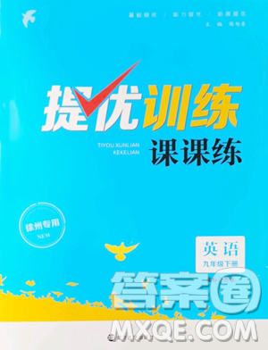 南京大學出版社2023提優(yōu)訓練課課練九年級下冊英語譯林版徐州專版參考答案