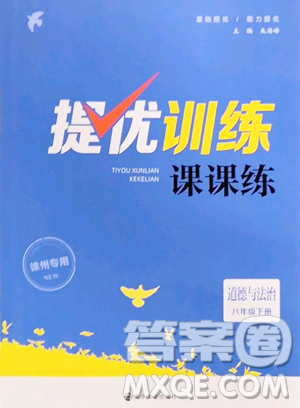 南京大學出版社2023提優(yōu)訓練課課練八年級下冊道德與法治人教版徐州專版參考答案