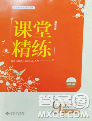 北京師范大學出版社2023課堂精練九年級下冊數(shù)學北師大版福建專版參考答案